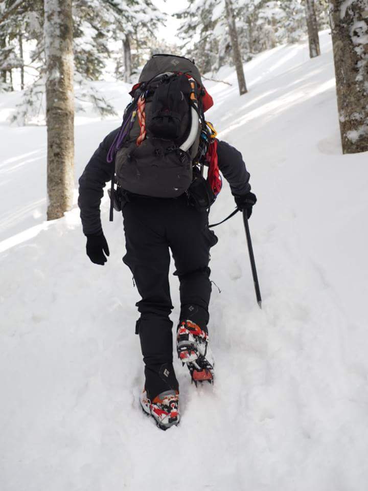 バーグハウス50周年フォトコンテスト 投稿写真