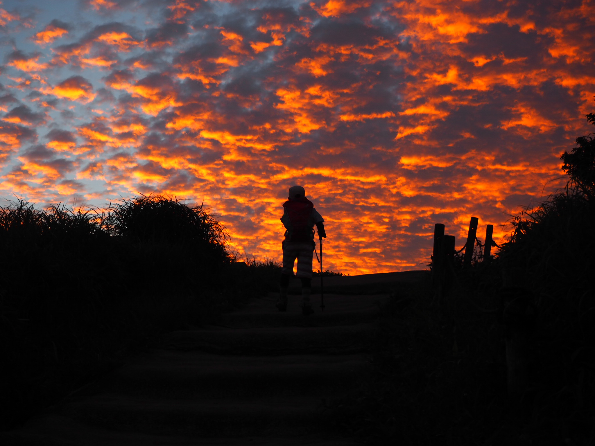 バーグハウス50周年フォトコンテスト 投稿写真