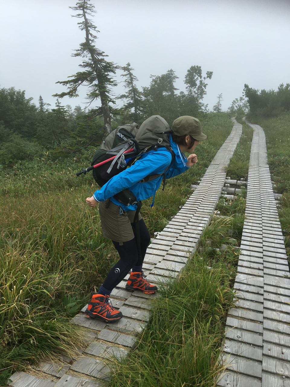 バーグハウス50周年フォトコンテスト 投稿写真