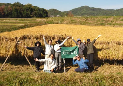 好日山荘 稲刈り体験イベントin加西市