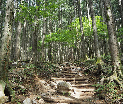 武甲山のおすすめコース画像
