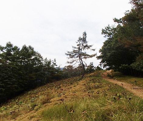 雲取山のおすすめコース画像