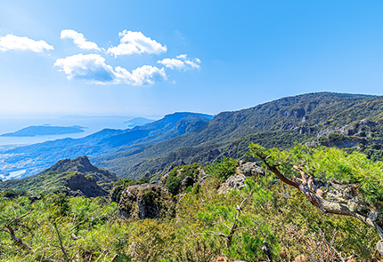 星ヶ城山