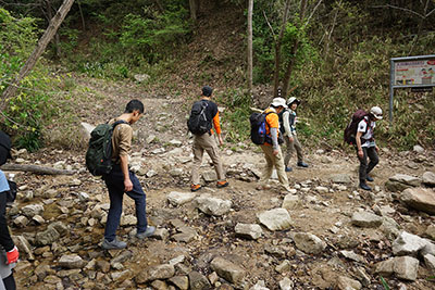 グリーンベルト写真2