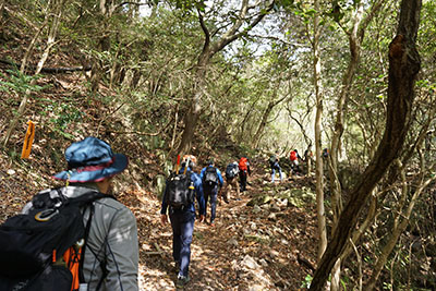 グリーンベルト写真3