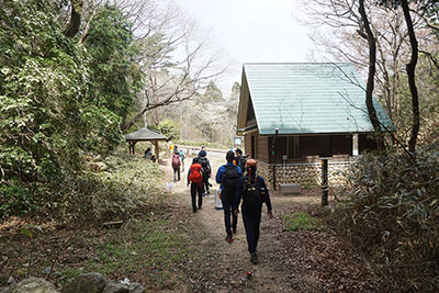 グリーンベルト写真4