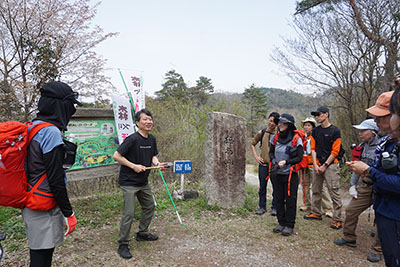 グリーンベルト写真5