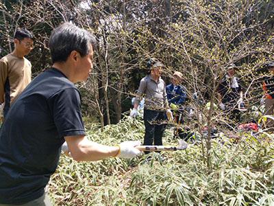 グリーンベルト写真6