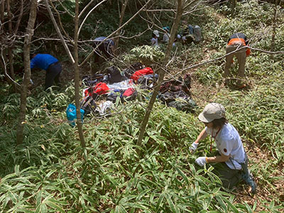 グリーンベルト写真7