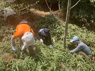 グリーンベルト写真8