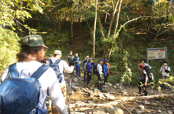 グリーンベルト写真2