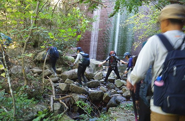 グリーンベルト写真3