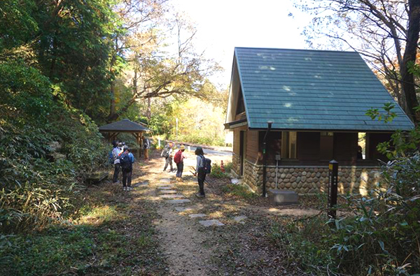 グリーンベルト写真4