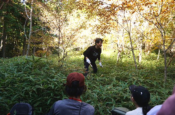 グリーンベルト写真6