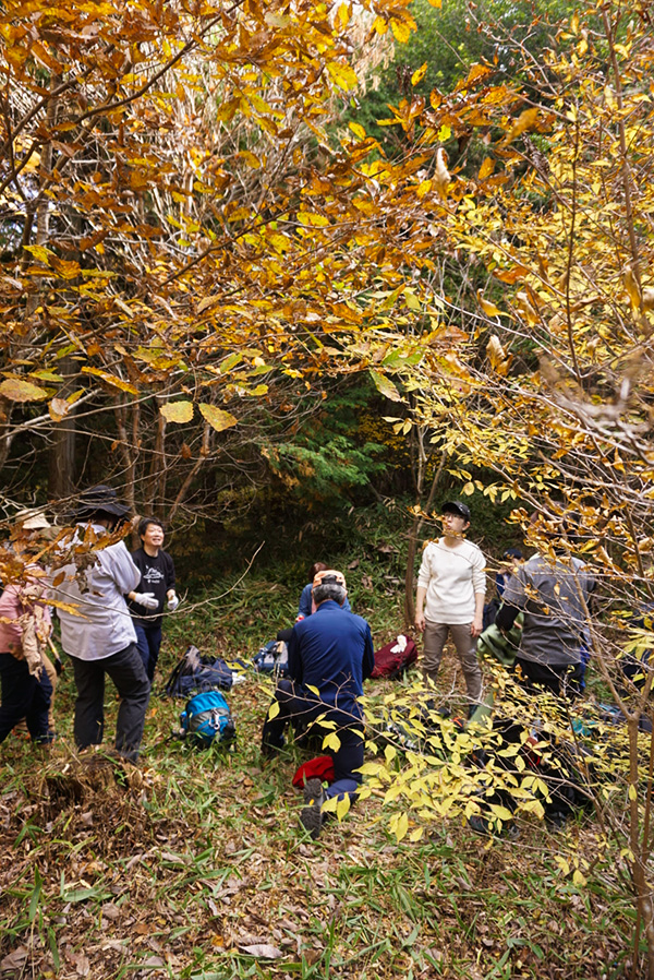 グリーンベルト写真10