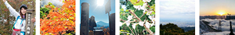 年間大賞 なっち様