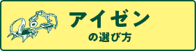 アイゼンの選び方