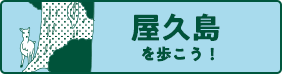 屋久島を歩こう