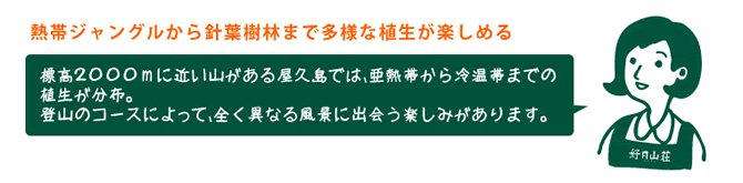 熱帯ジャングルから針葉樹林まで多様な植生が楽しめる 店員『標高２０００ｍに近い山がある屋久島では、亜熱帯から冷温帯までの植生が分布。登山のコースによって、全く異なる風景に出会う楽しみがあります。』