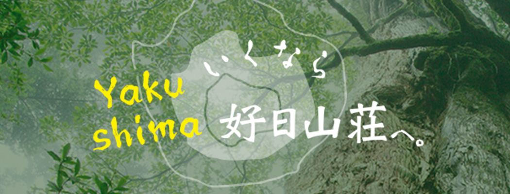 屋久島トレッキング