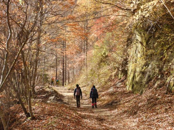 おさむさんの投稿画像