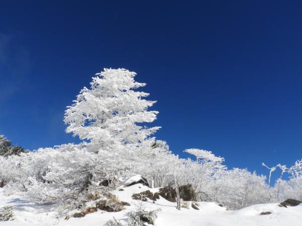 フジオさんの投稿画像
