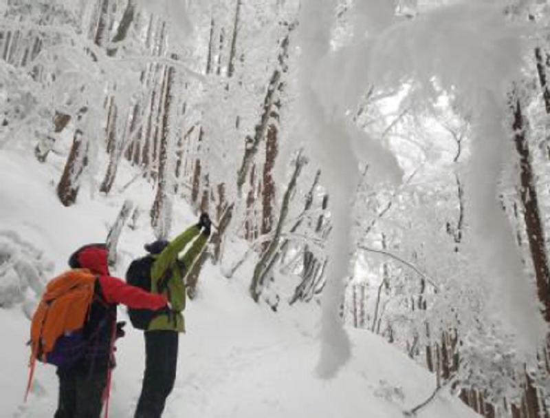 【山田ガイドと行く 実技】御殿山　雪山実技講習