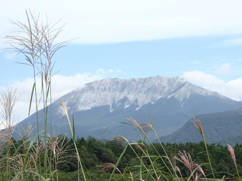 三平山周辺からは、大山の雄大な眺めが！これも魅力の一つです。