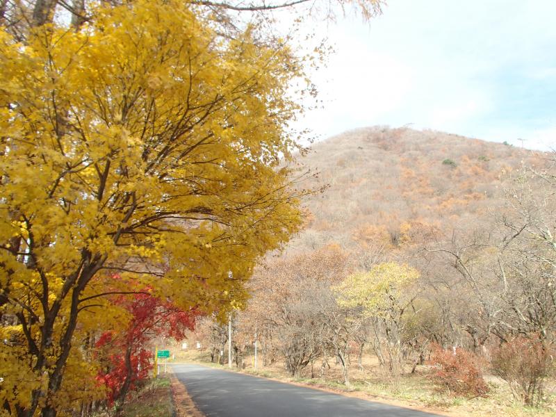ビジターセンターに車を停めて出発。登山口付近の紅葉が素晴らしい！！