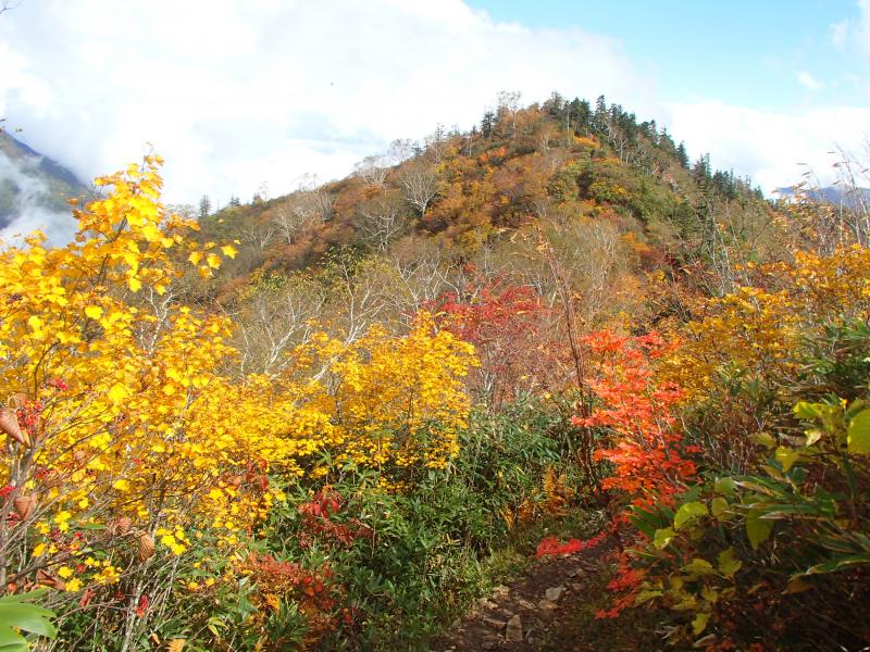 紅葉が美しい登山道からの眺め。いやぁ～、本当にはれてくれてよかったぁ～！！
