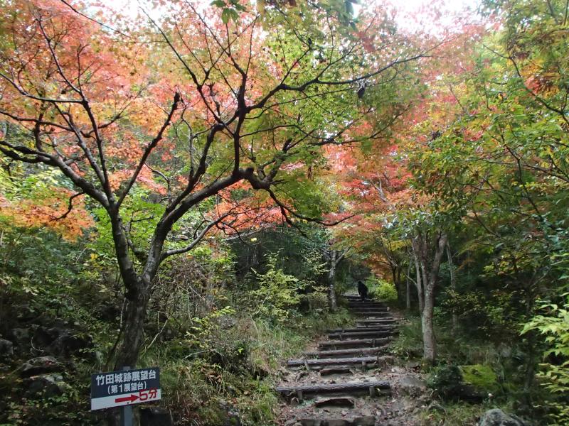 紅葉が彩る森の中を第一展望台目指して歩きます。んっ！？雨が降り始めたぞ・・・。