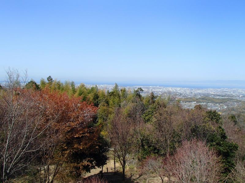 山頂からの展望。山桜の向こうに大阪湾。