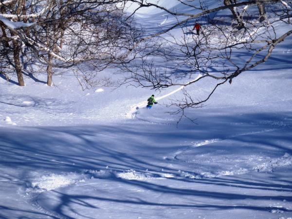 悪雪の中、シュプールを描く鬼頭氏。