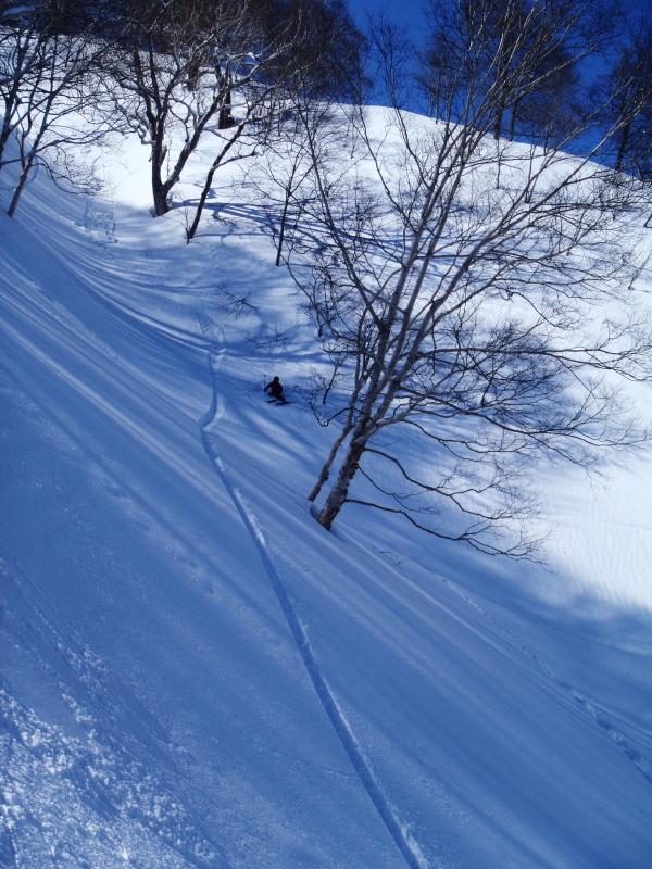 日向と日陰の雪質のギャップ＆急斜面で全員転びまくり！ 転び方が激しすぎます。