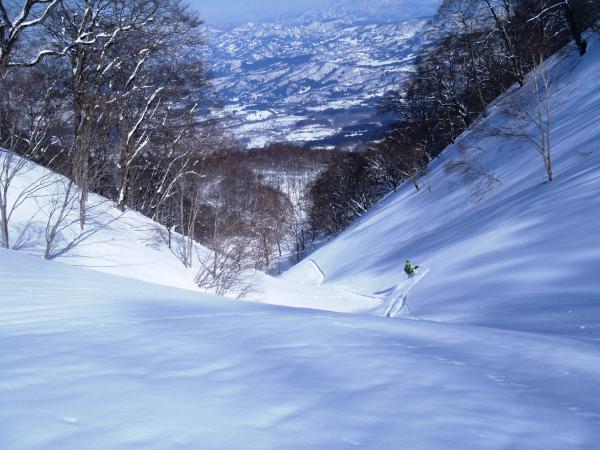 谷になっているので、滑りにくい。雪崩がヤバそうなので、急いで通過したいのですが、これがなかなか無理な話で・・・(/_;)