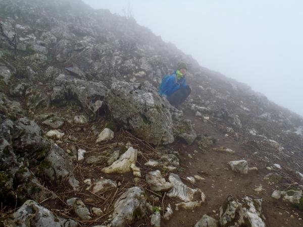 風が強くて寒くなってきました。