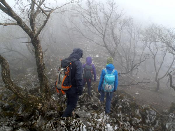 急登が終わり、傾斜が緩くなりました。