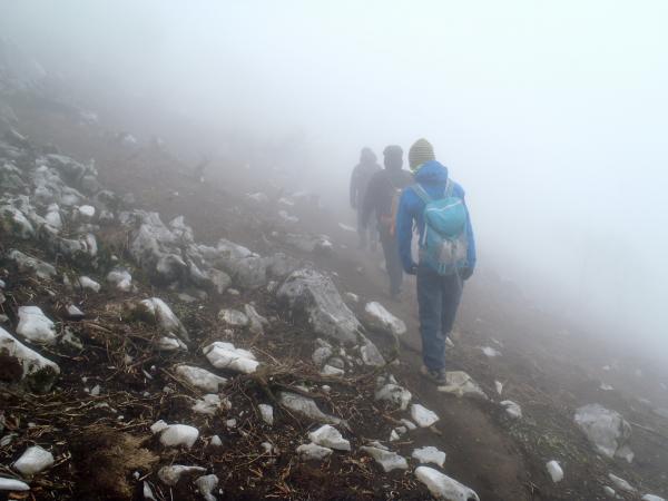 この辺りで、出会い頭に鹿と遭遇っ!!!!