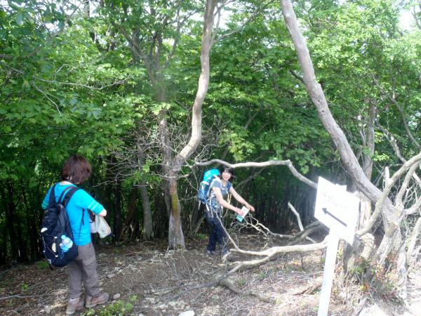 写真を撮ったらすぐに下山開始。