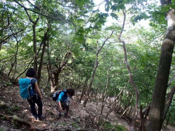 あとはひたすら急斜面を下りる。