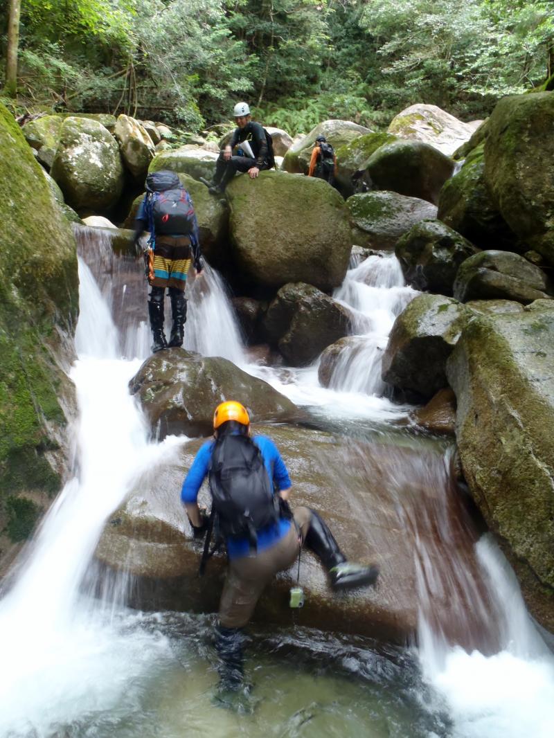 こういう小滝をよじ登るのが何より楽しい。