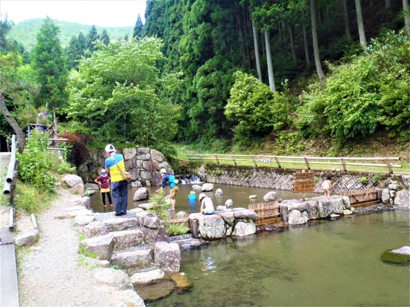 あまごつかみ取り