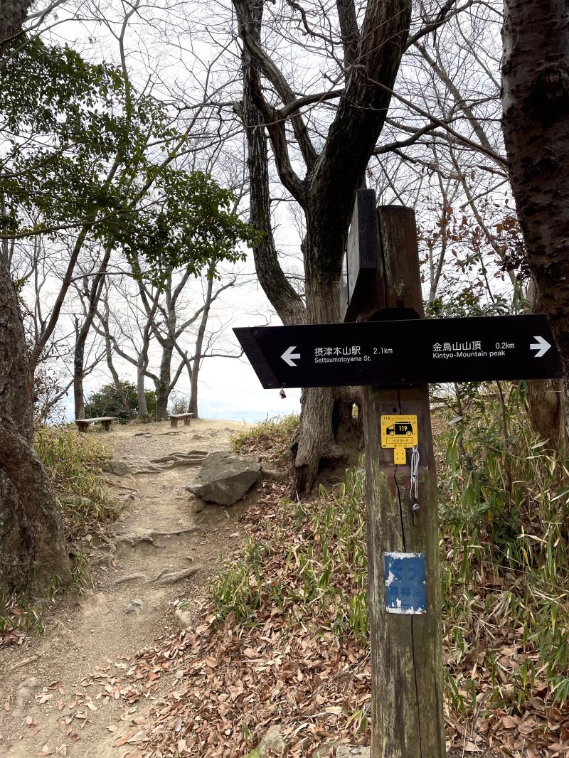 下山。いつの間にか金鳥山を通り越していました･･･。
