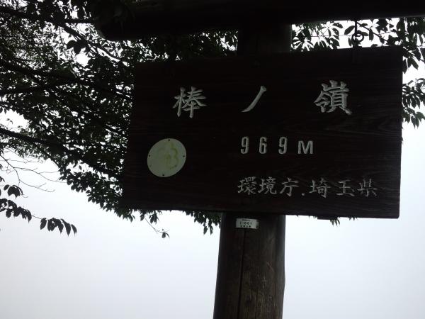 山頂の標識は棒ノ嶺ですね。棒ノ折山、棒ノ峰、どれが正しいのでしょうね。