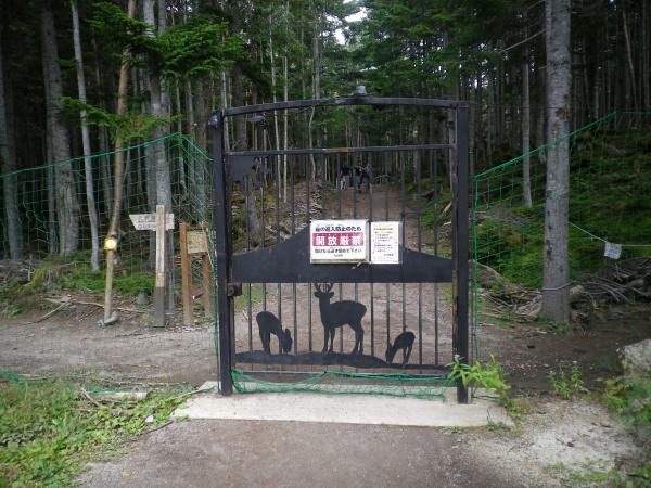 鹿除けの扉を出ればすぐロープウェイ山頂駅です。行きも通過しましたが、扉に鹿さんがいるのには気づきませんでした。