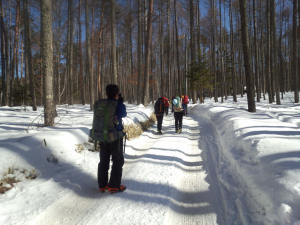 美濃戸山荘に向かう林道