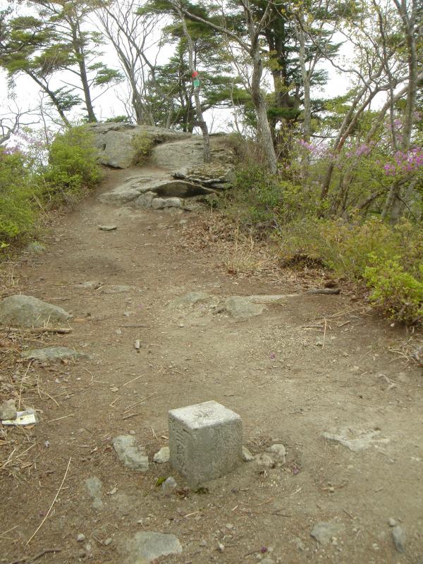 頂上一等三角点。