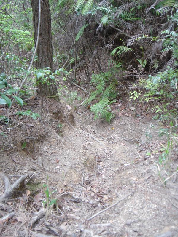 足場の悪いところもいくつか出ます。