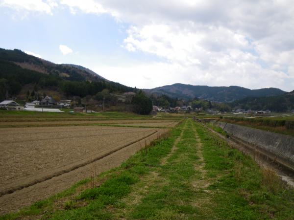 長谷川沿いに進みます