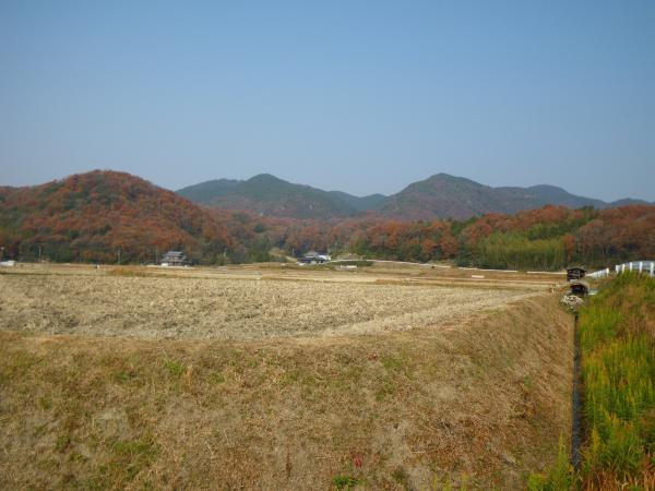 山田町からの丹生山系